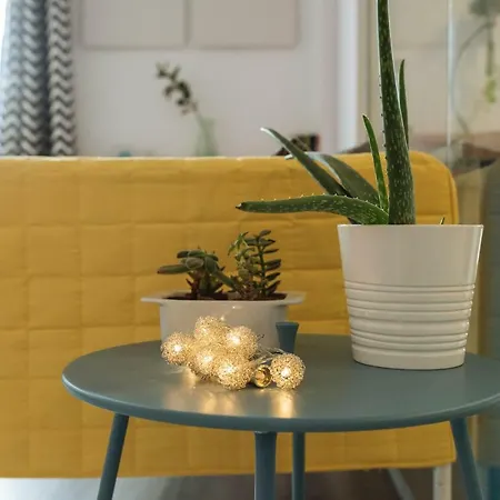 Lake View Fancy Studio Βουκουρέστι